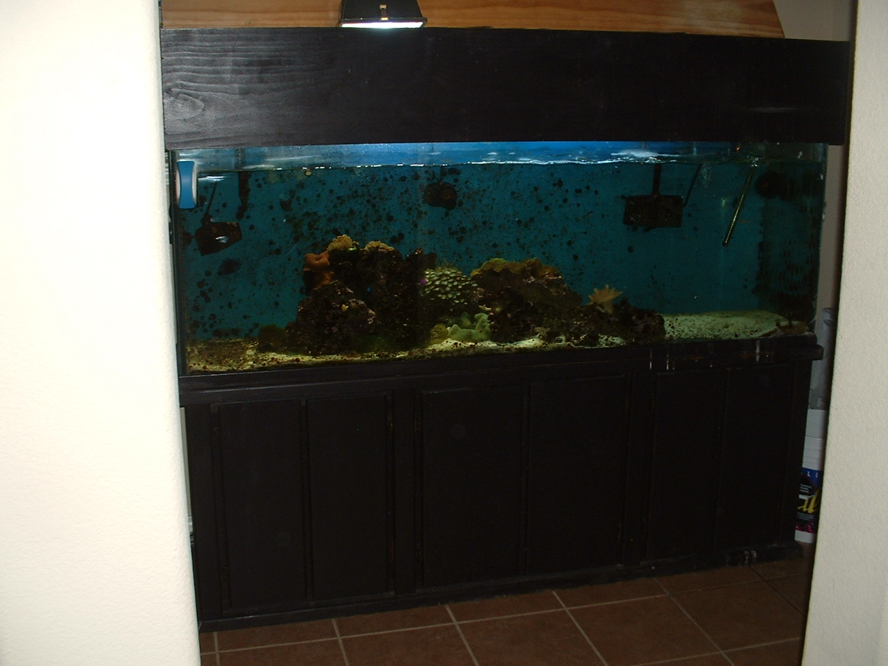 120g saltwater aquarium for sell, must go soon! make an offer